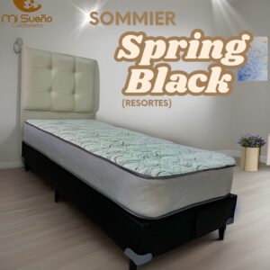 Sommier Spring Black