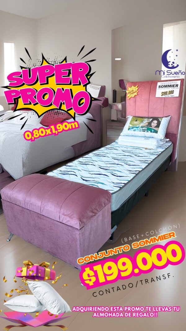 PROMOCIONES EN CONJ. SOMMIERS GANI