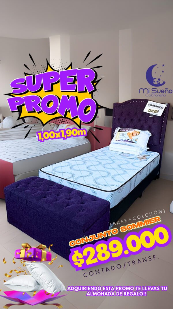 PROMOCIONES EN CONJ. SOMMIERS GANI