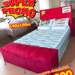 PROMOCIONES EN CONJ. SOMMIERS GANI